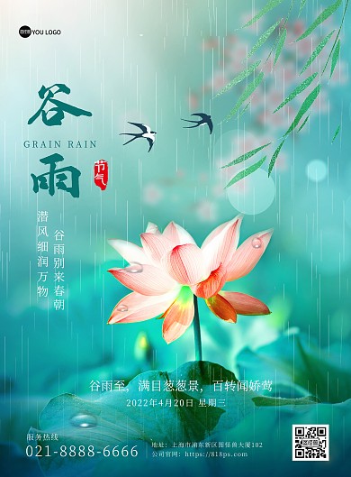 谷雨传统节气祝福莲花摄影图风印刷海报