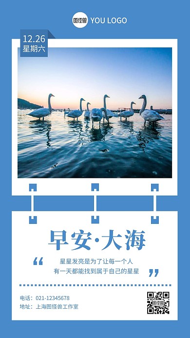 每日一签蓝色大海早安天鹅摄影图日签