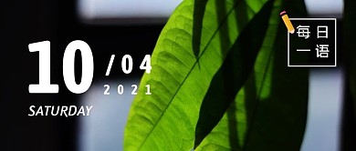 每日一语绿叶日签黑色摄影图公众号首图
