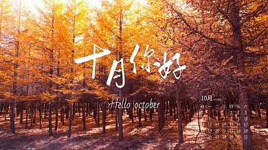摄影风秋天问候10月你好日历电脑桌面