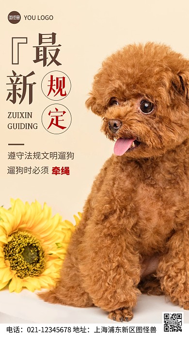 摄影图最新规定褐色简约风手机海报