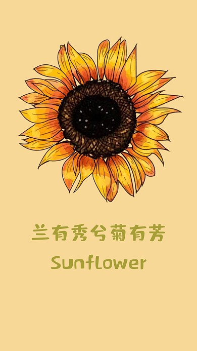 希望向日葵简约手机壁纸