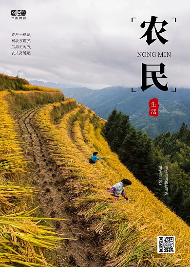 简约秋天农民少数民族丰收水稻书籍封面