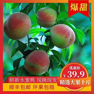 淘宝水果桃子主图水蜜桃红色直通车