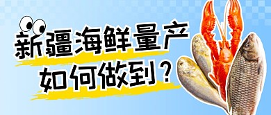 新疆海鲜量产如何做到公众号首图