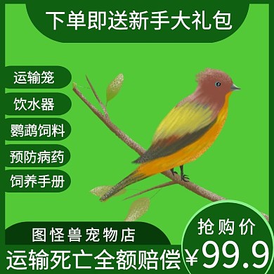 主图直通车电商淘宝天猫京东简约绿色宠物鸟