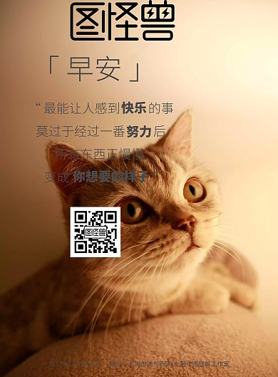 早安可爱猫咪励志海报