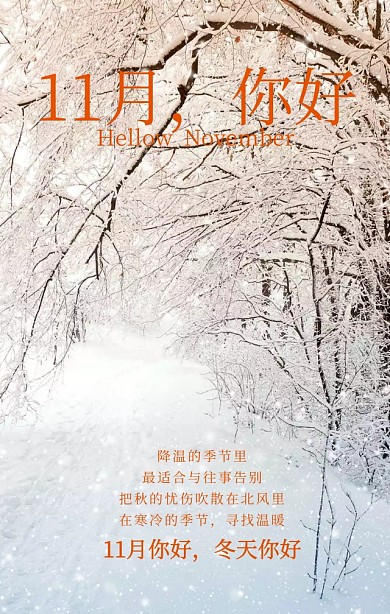 11月你好手机营销海报