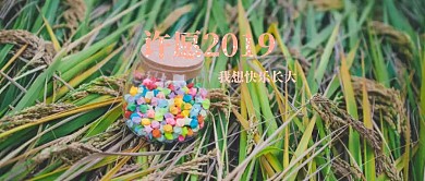  许愿2019我想快乐长大公众号封面