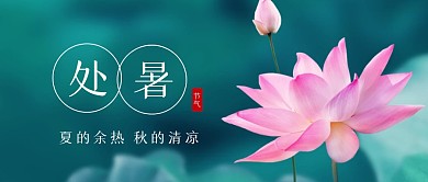 8.22处暑夏天走了荷叶公众号封面首图