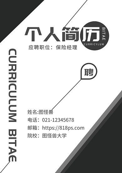 商业黑白搭配简约大气销售个人简历封面