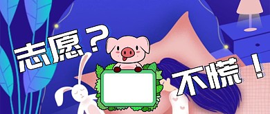 志愿指南小猪不慌蓝色波普风公众号封面