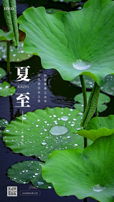 摄影风荷花夏至日签