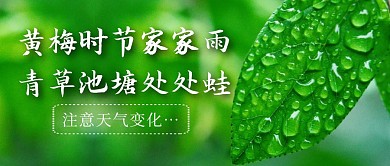 梅雨通用简约绿色公众号封面
