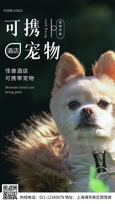 酒店对宠物开放黄色标语摄影图海报