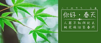 立春叶子立春绿色小清新公众号封面