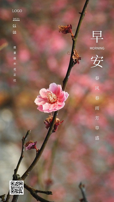 2021你好早安问候简约粉色日签