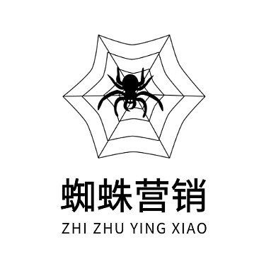 黑色蜘蛛网状互联网营销LOGO