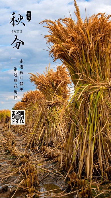 秋分二十四节气简约摄影图海报