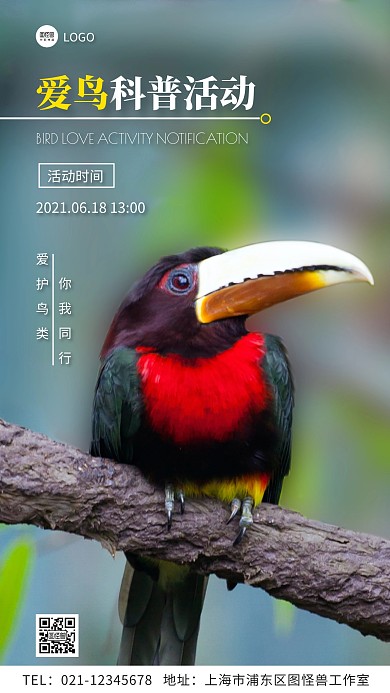 爱鸟科普活动通知简约摄影图手机海报