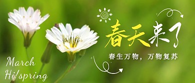 摄影风绿色简约春天来了公众号首图
