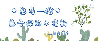 公众红包号小清新