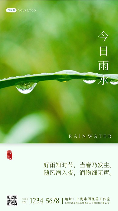清新摄影雨水叶子节气诗词祝福雨水手机海报