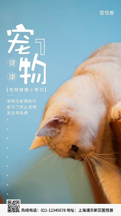 宠物健康常识蓝色简约风手机海报