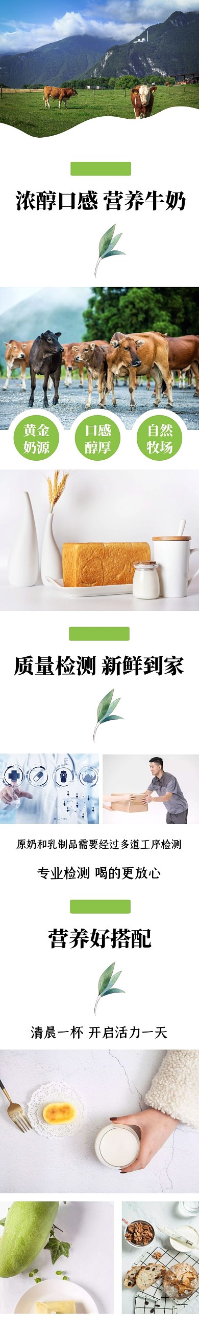 营养牛奶简约大气绿色详情页模板