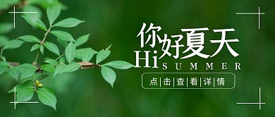 你好夏天问候祝福绿植摄影公众号封面首图
