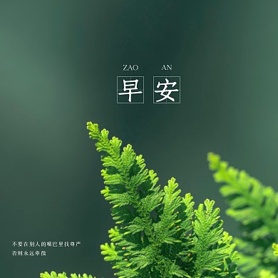 清新叶子早安问候