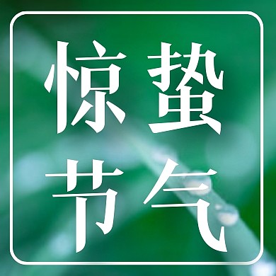 绿色摄影图惊蛰节气公众号封面次图