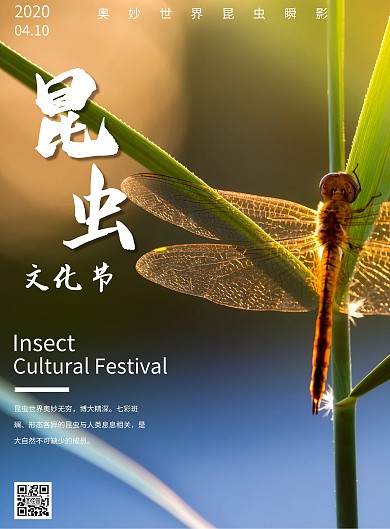 昆虫文化节摄影风简约写实海报	