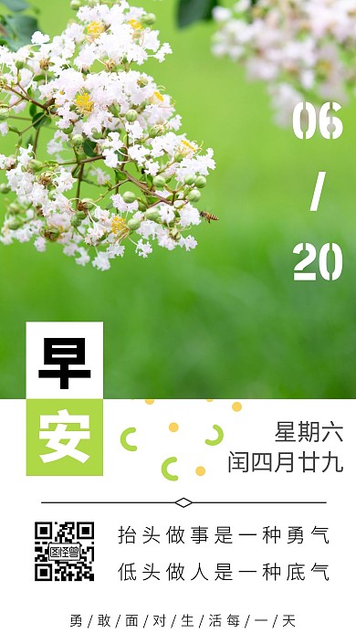 向日葵绿色清新背景低头做人早安日签