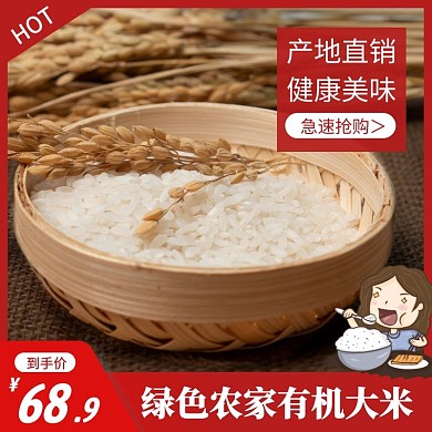 绿色农家有机大米吃饭电商主图