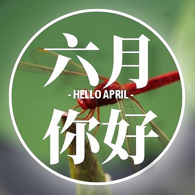 六月你好摄影风公众号次图