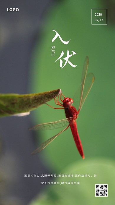 摄影风创意入伏三伏天日签