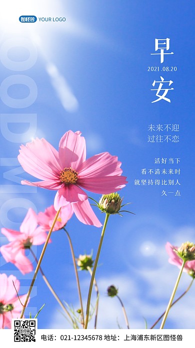 摄影蓝色格桑花早安阳光励志心语摄影图海报