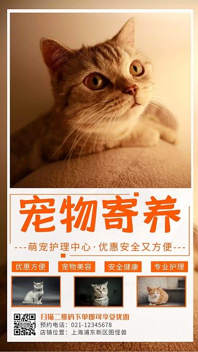 创意专业宠物寄养手机海报