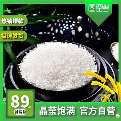 绿色创意大米聚划算主图直通车