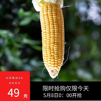 玉米淘宝特价农资产品主图直通车