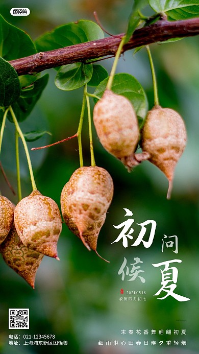 简约风摄影图初夏问候摄影图海报