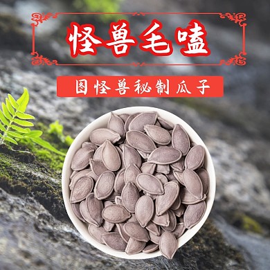 秘制瓜子淘宝主图