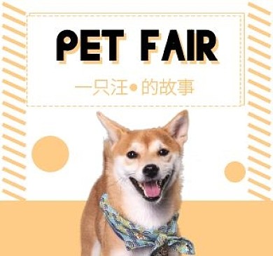 bibi视频封面 动物