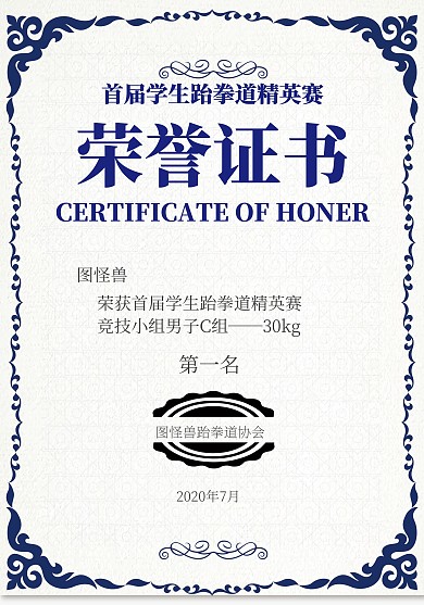 荣誉证书跆拳道横向