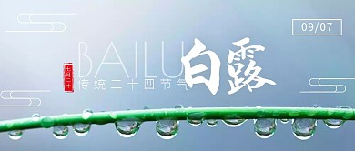 公众封面首图白露传统手绘小清新