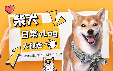 动物简约黄色柴犬新媒体视频封面