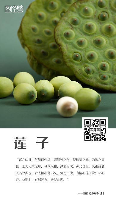 出淤泥而不染莲子手机海报