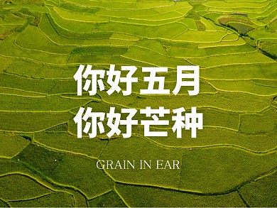 五月芒种节气公众号横版配图