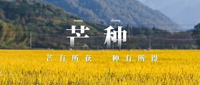 芒种节气问候祝福公众号封面首图